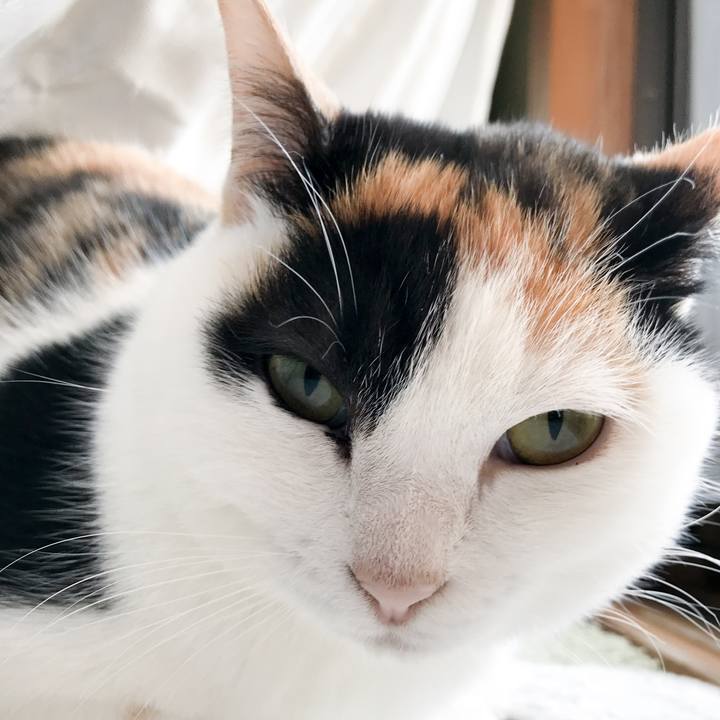 Beef8089 e208 4d2f a1b3 b5c51771ad56 1520299359429