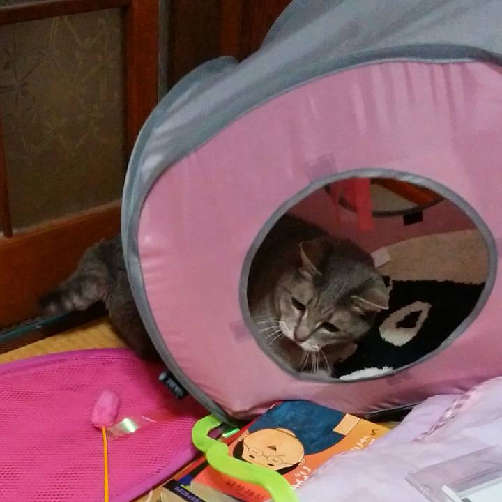 Beef8d08 933e 402e bab3 754d209e5880 1543933829676