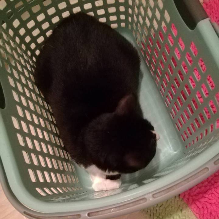 Beef9a3e de94 4849 8049 9ec2f31b7f84 1574347117945