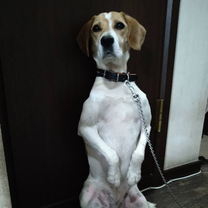 Beefa341 a068 4a58 b395 6b82677648d3 1624966724502