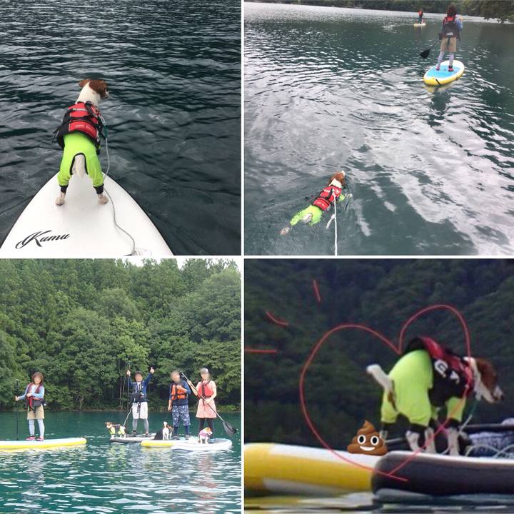 Beefa779 0ddf 48b1 a899 a12d604dafc1 1536142319323