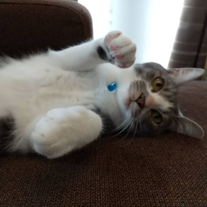 Beefb88c d123 4a75 adf6 553538b41229 1596162507091