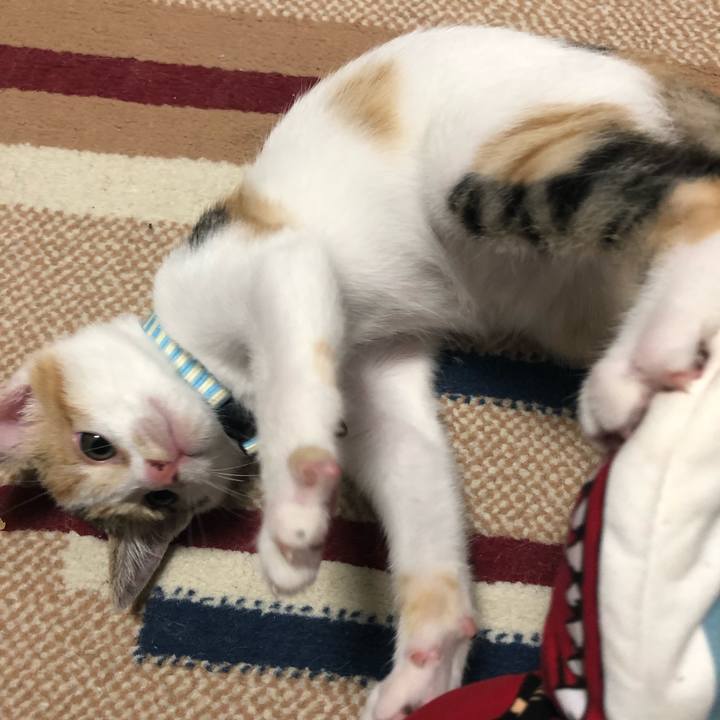 Beefd93a e53f 484c 98a0 064121224e46 1563284213535