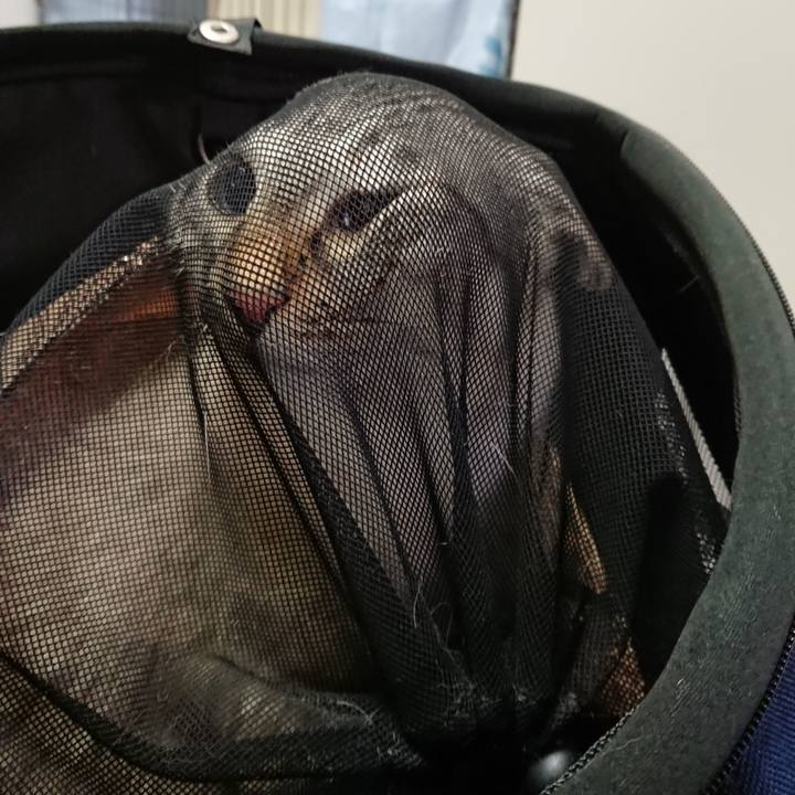 Beefef94 c060 4fb9 b2eb 5a4317b6a6dc 1589018598601