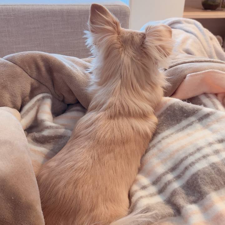 Bef05312 0229 4ae6 a6bc 54223f9bb59e 1736292366888