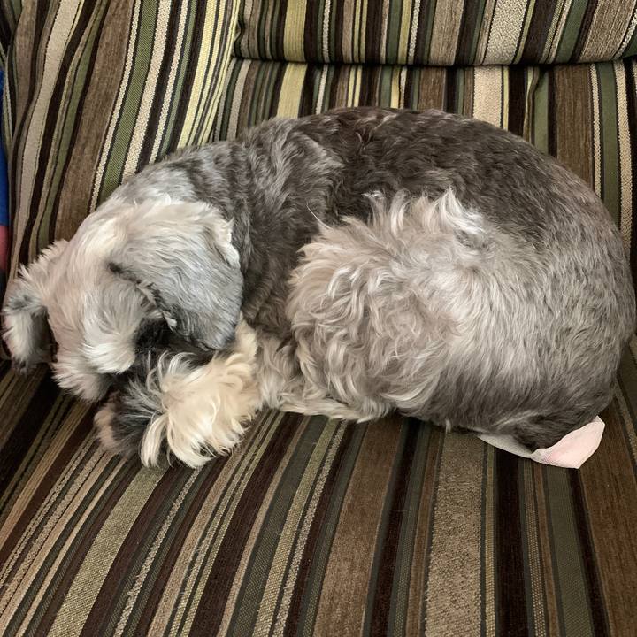 Bef06a5d 7bbc 4b25 9580 6b82866626e0 1667690325278