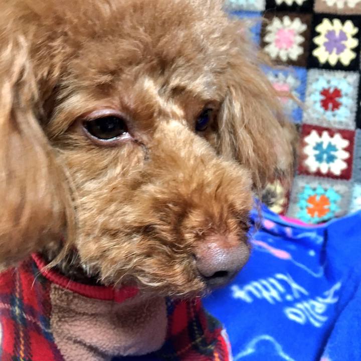 Bef08620 2b7d 4841 961d 827f626a1a40 1516753367182