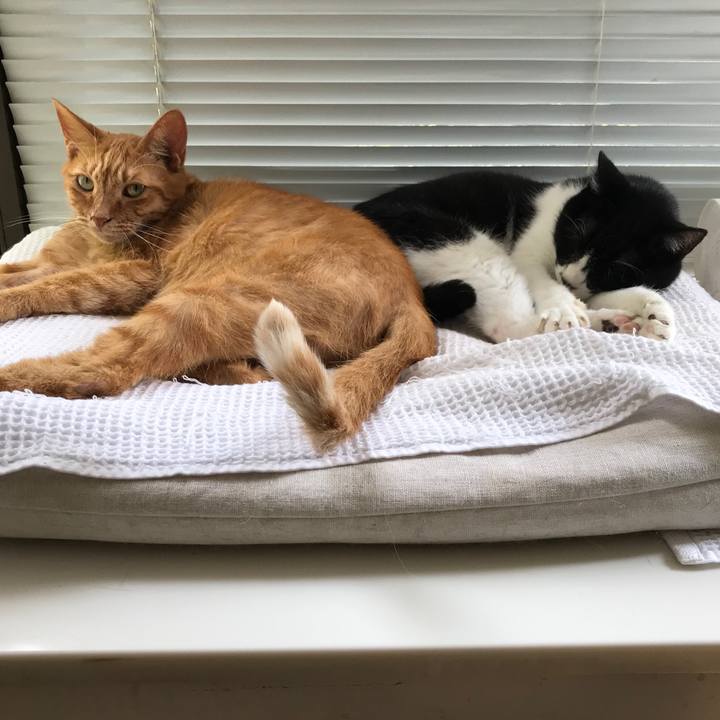 Bef0a2f8 facb 484a 9e11 fb8f38ca0095 1568694108294