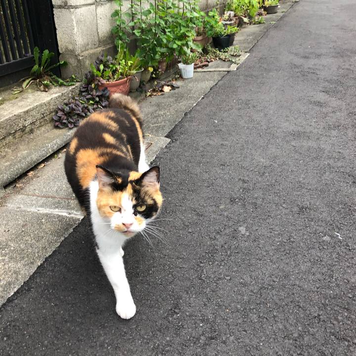 Bef0a850 f8db 4791 9142 745028530cf8 1563105663615