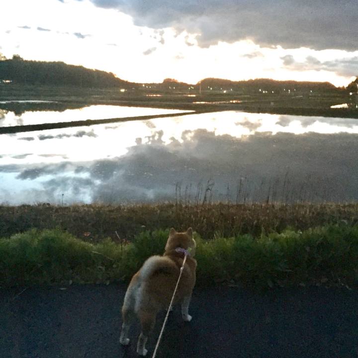 Bef0c643 0428 41b7 a983 ddef40c61cae 1556500600068