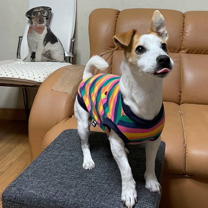 Bef0d311 290d 4853 9fbe b6dc566363cd 1611476718849