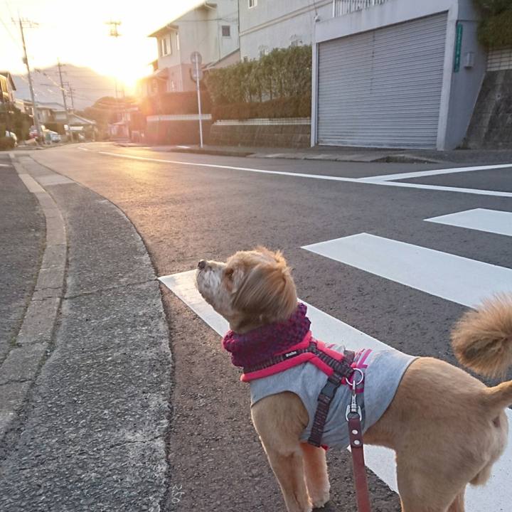 Bef0e20a fb4e 4d52 a388 f24b78211a73 1518907496828