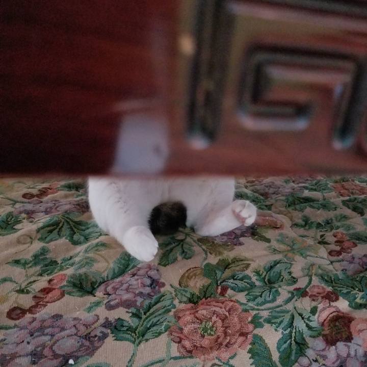 Bef10acc 2ad8 4d72 b2f7 3a448a42250a 1538908577893