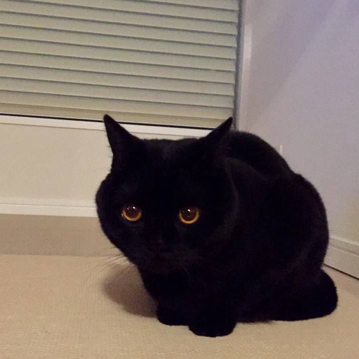 Bef12547 44f2 43fc a5ea b610a27df08d 1556279761890