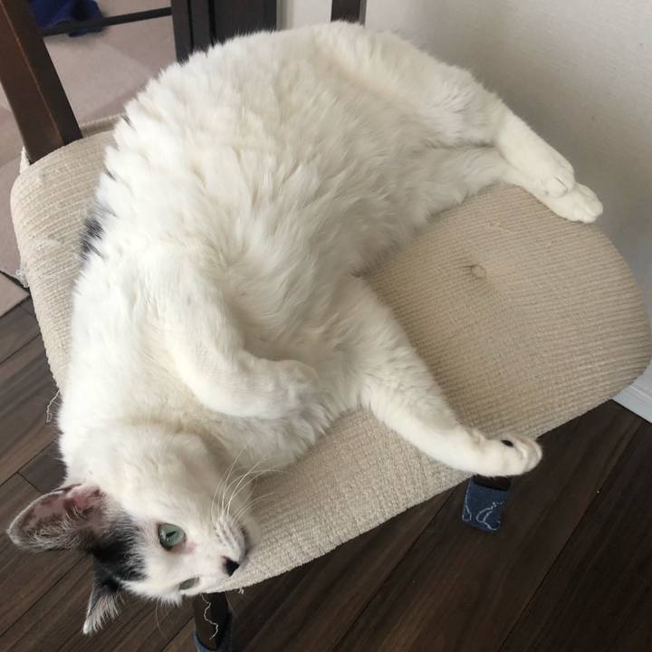 Bef1471f 6052 496c a98e 277860810620 1583883397534