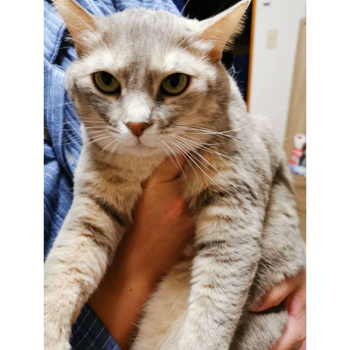 Bef18942 6506 4ecc b197 4e38da264f90 1637551816262