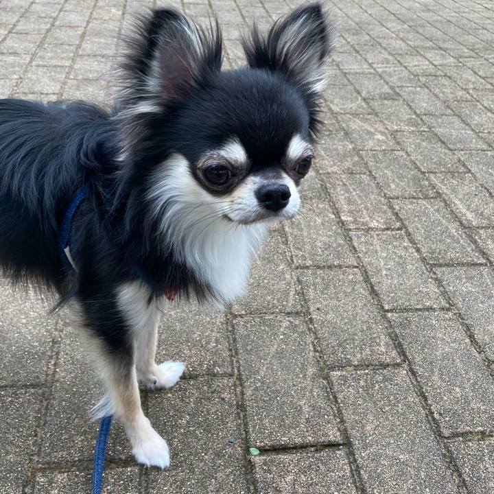 Bef18b0d 5086 4d68 9afc fbb72584536c 1624975358436