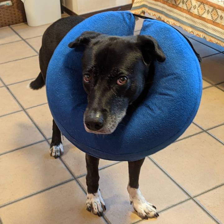 Bef1c1e0 2f6f 402a 8c4a 0bd2dde56d91 1700179937624