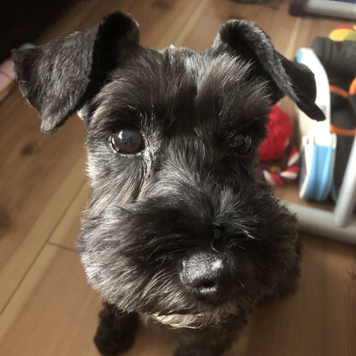 Bef1d3ea 4ba6 450c 99e2 d1832157c04b 1569631144404