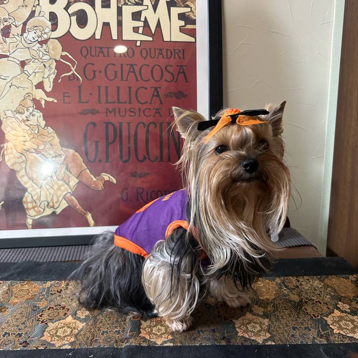 Bef20beb c153 4657 87a1 f6d37c170605 1730331352466