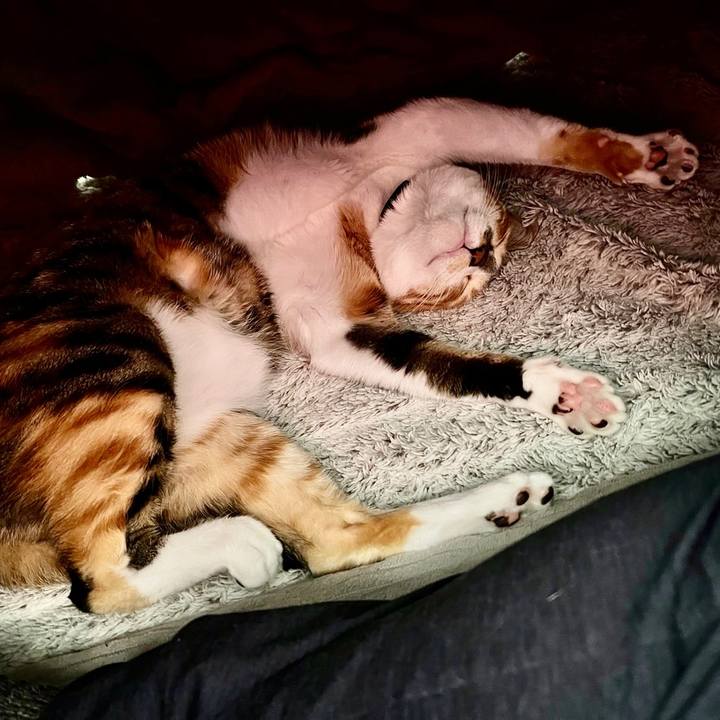 Bef26a69 7e27 4f7a 9a0d ebaa850c5374 1699396698598