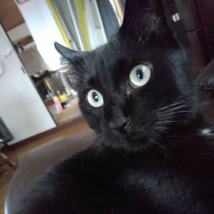 Bef2f69a 64b5 4a16 831a 8ead6518463c 1689079408608