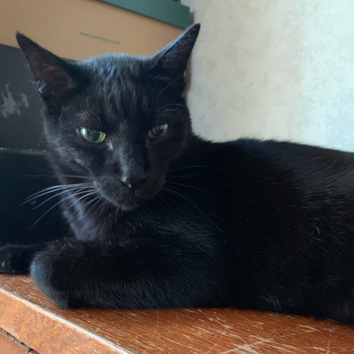 Bef2f8df b56d 4773 8426 9b6f67408b34 1570755856840