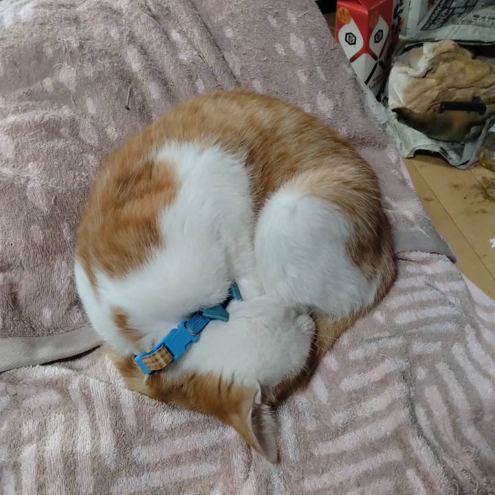 Bef36f2c c3df 41b7 b14f 3a0f62a202c0 1735012295578