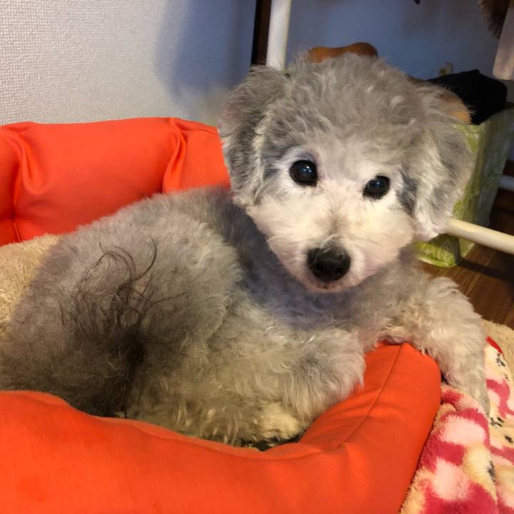 Bef373aa bde9 4863 a48b 7aefb7ec4540 1543964563516