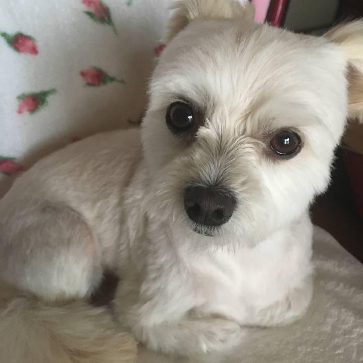 Bef3a42d 04dd 4337 9789 c803c498fd69 1538546708693