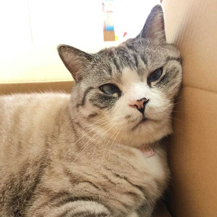 Bef3a4f8 9b79 4588 aea6 bbd8093a4cd0 1522284882775