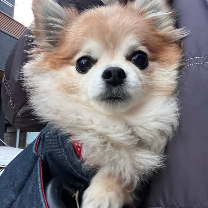 Bef3ca61 810b 4f55 9f7c bd27921ff62b 1768643444969