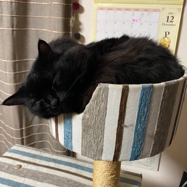 Bef40246 5961 423d a63e 103d70aa5728 1576760938186