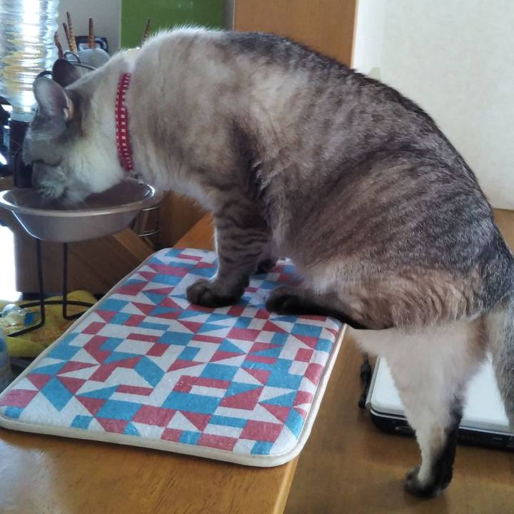 Bef451b3 a2f2 461a 9e1a 08ff4412dc31 1598500318439