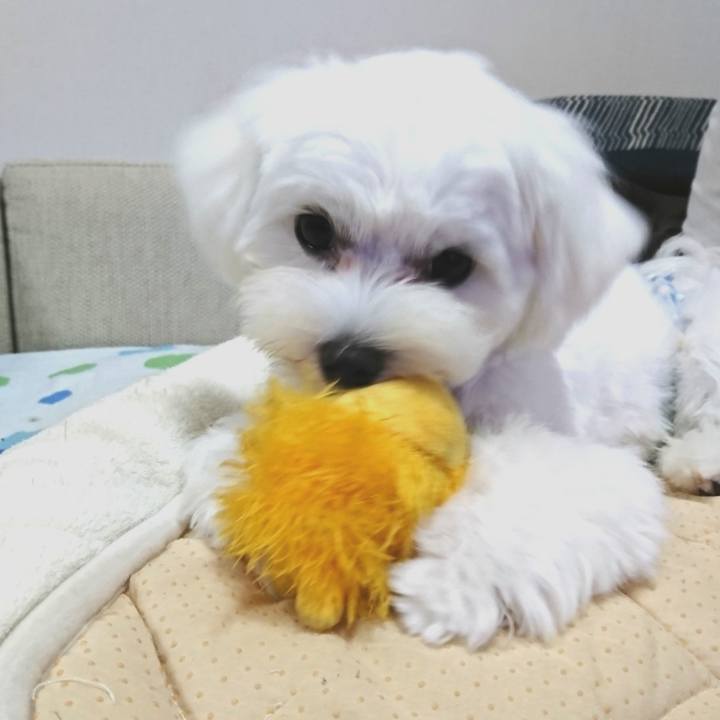 Bef4618d e2ca 4163 a25c fa3438732ed8 1600263916611