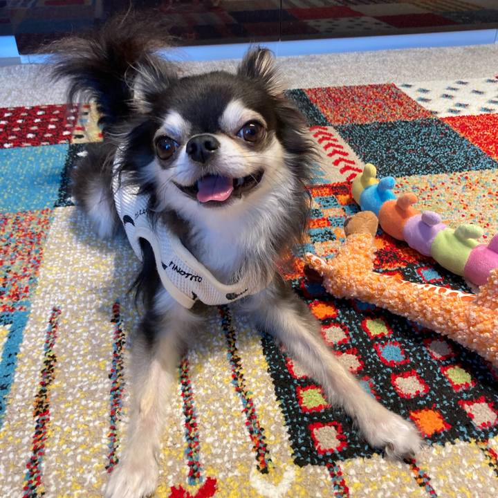 Bef4a669 6851 4f2a b64f 4036bca48423 1714396727701