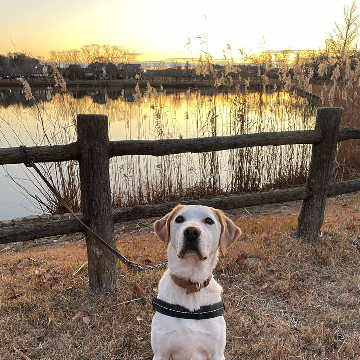 Bef4c953 d050 4c25 a185 4b20a1c1b3de 1766043850543