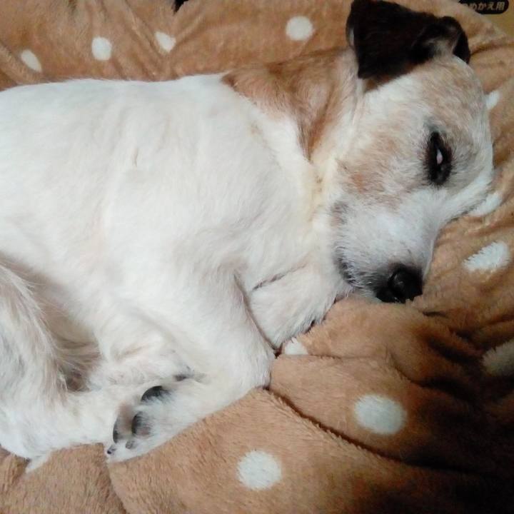 Bef4ec95 bd93 4a07 a157 44e7ce93212c 1585927911244