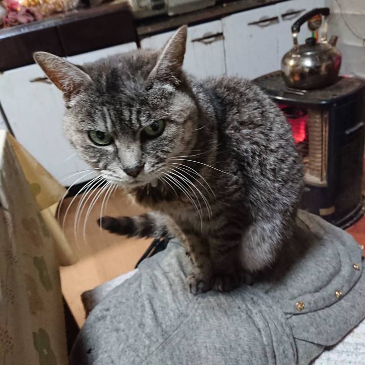 Bef4faea 7d56 4caf 92ea c71f0e102a60 1576575343014