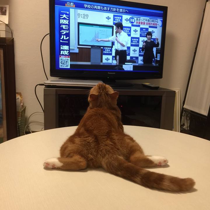 Bef52a70 518b 456c b89d e3ac196fad95 1589459584433