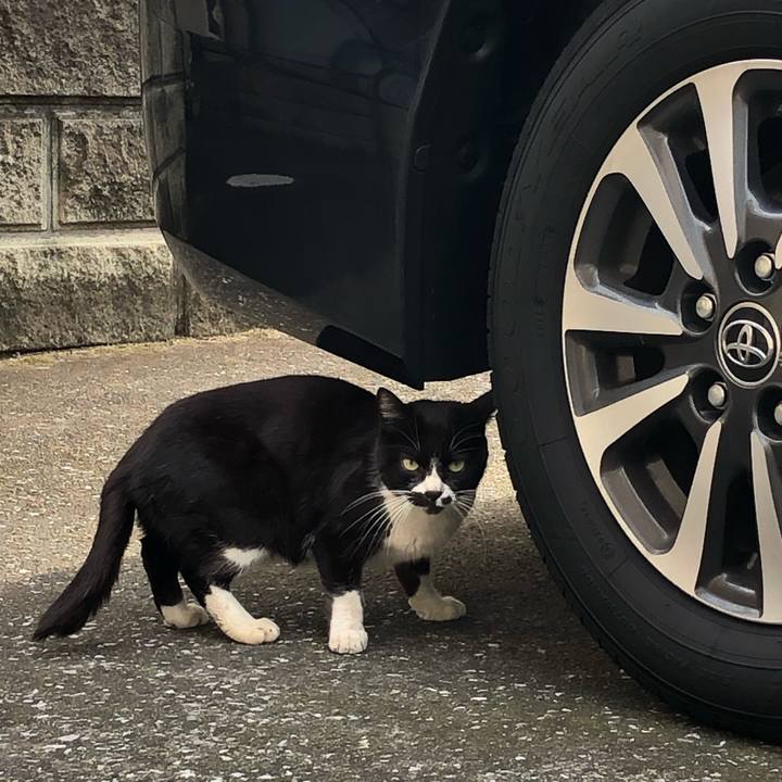 Bef590b9 a77b 44ce 81aa 727aa2ab9732 1544461005249