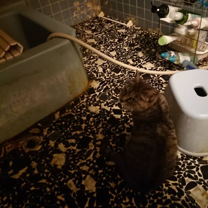 Bef5e35f 6398 475e 9feb cc1f583132a4 1570527083749