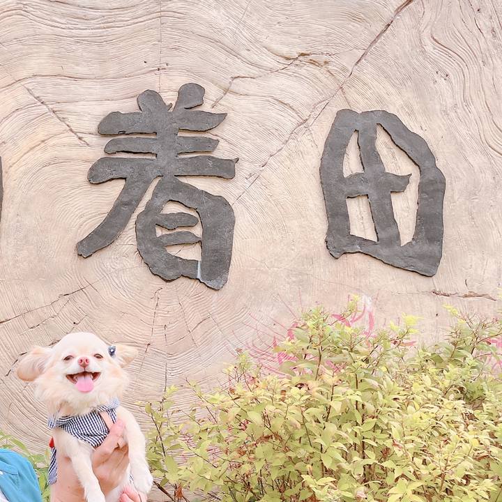 Bef5f1f5 6d6d 4ebc 9f95 ff66b241336d 1663656934384