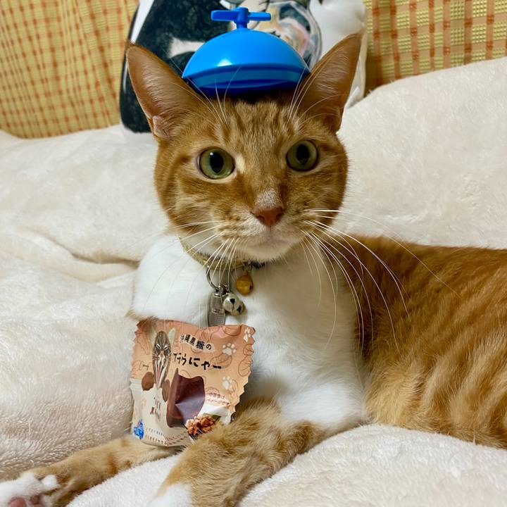 Bef5fff8 47d7 45ce 872c 18cc2c98e371 1771076645633