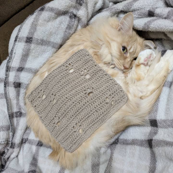 Bef613c0 b9f7 4cb0 bda5 b7765a60aac2 1768659591426