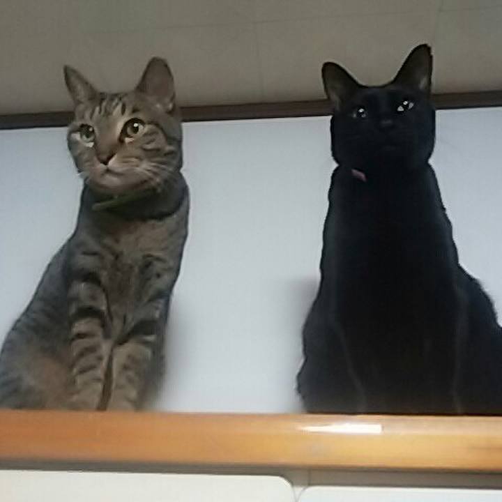 Bef6164f a929 4a8e 8ae5 7dd227ac3ab6 1519137141528