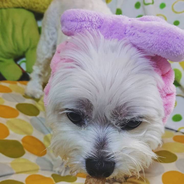 Bef630cc cb4d 4cca 94a9 a6aa6b35ee3e 1626153131841