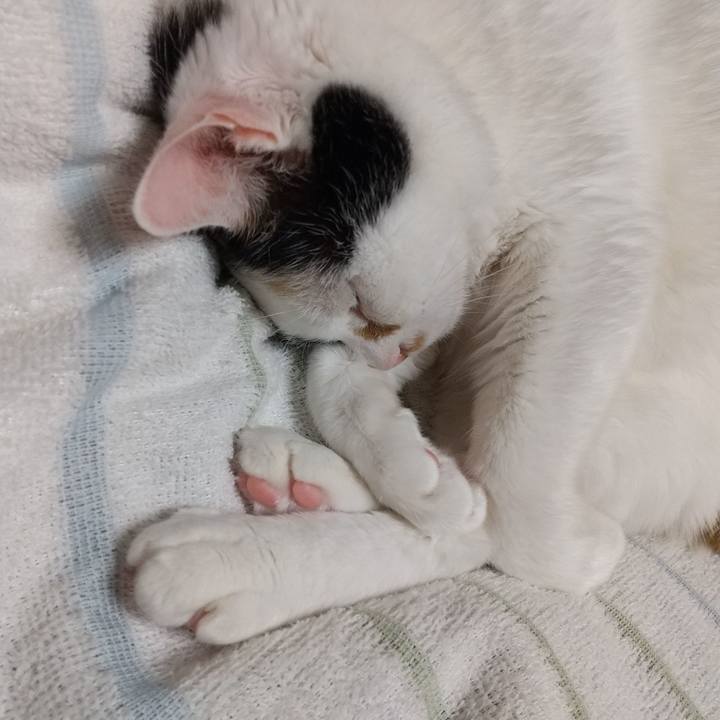 Bef64e44 38e6 4944 9986 e283426e0ab5 1671460056374