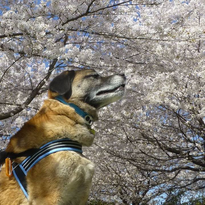 Bef66a8f 45a1 4ed9 bc4c 9b158bbaf7a4 1648516731612