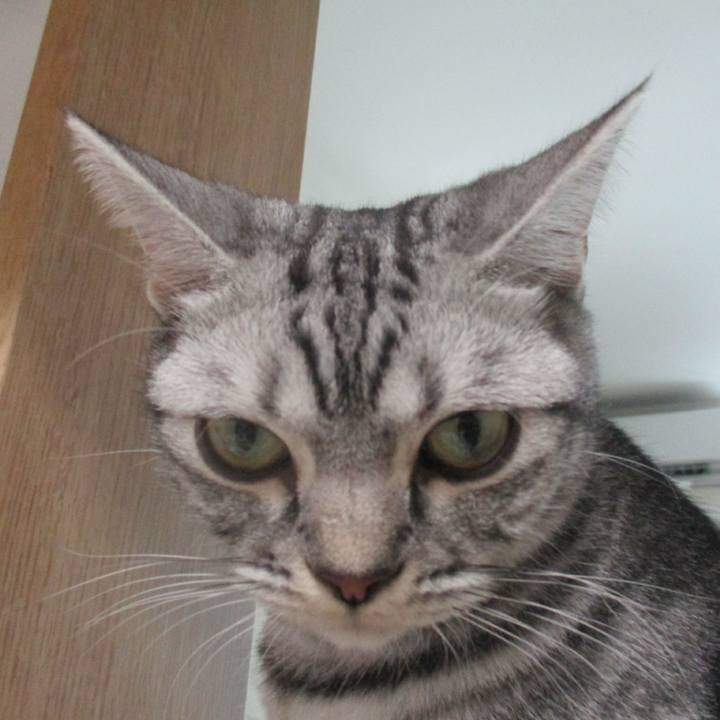 Bef67d20 391d 4b32 ad45 ee96fbc63367 1566297511780